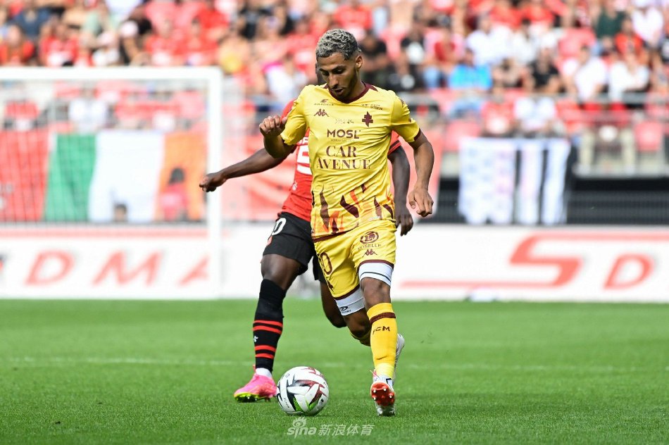 对性研究上 对性研究上