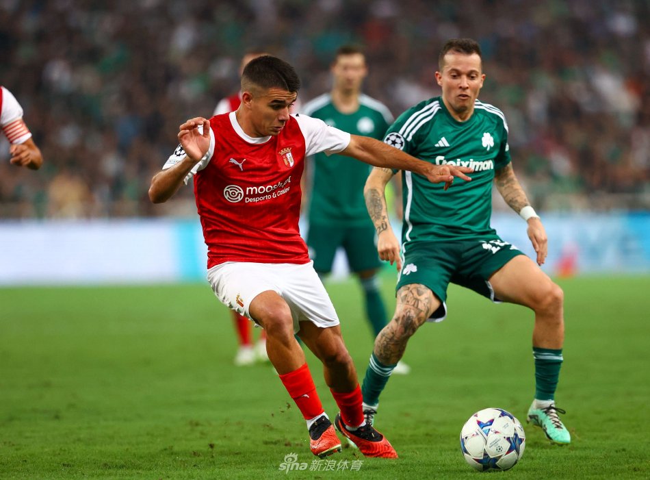 他们分析了 他们分析了